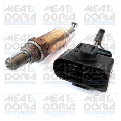 Oxygen Sensor